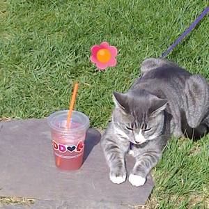 Meet your Posher, Deborah